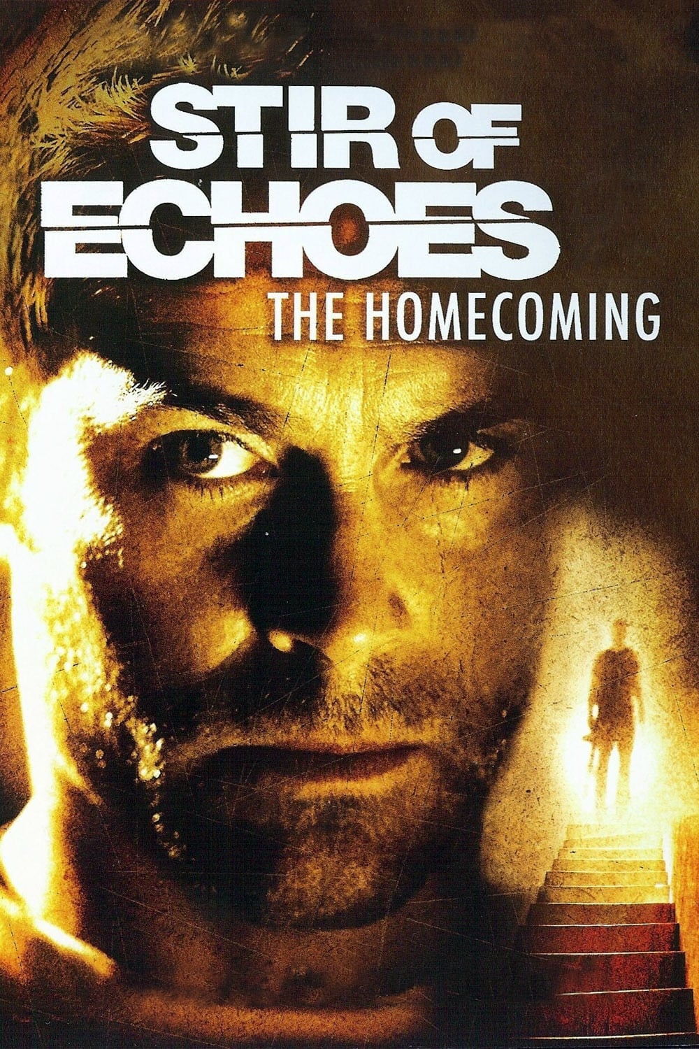 Постер Stir of Echoes: The Homecoming
